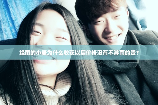 经雨的小麦为什么收获以后价格没有不淋雨的贵？