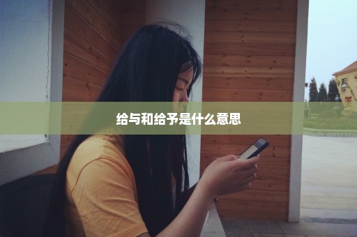 给与和给予是什么意思