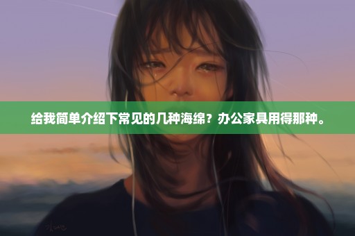 给我简单介绍下常见的几种海绵？办公家具用得那种。