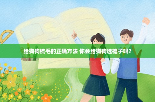 给狗狗梳毛的正确方法 你会给狗狗选梳子吗？