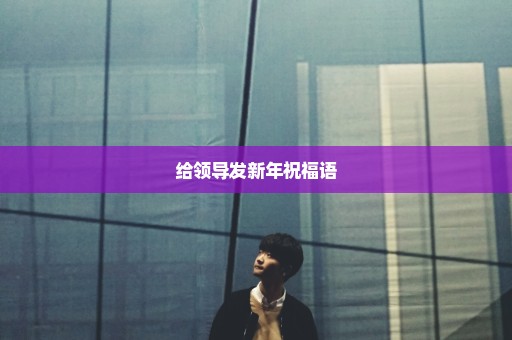 给领导发新年祝福语
