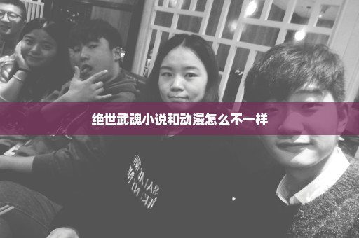 绝世武魂小说和动漫怎么不一样