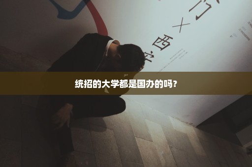 统招的大学都是国办的吗？