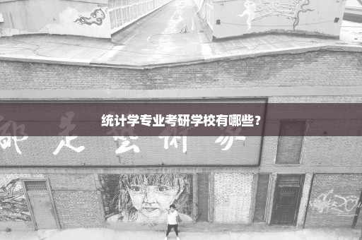 统计学专业考研学校有哪些？