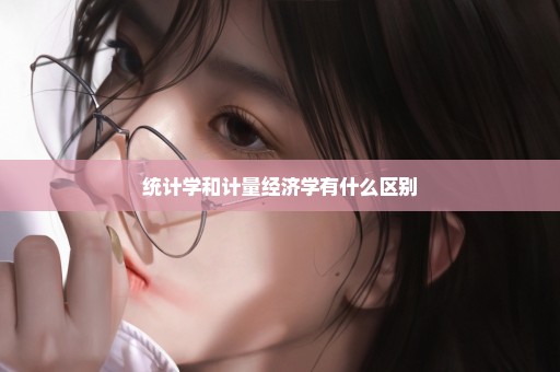 统计学和计量经济学有什么区别