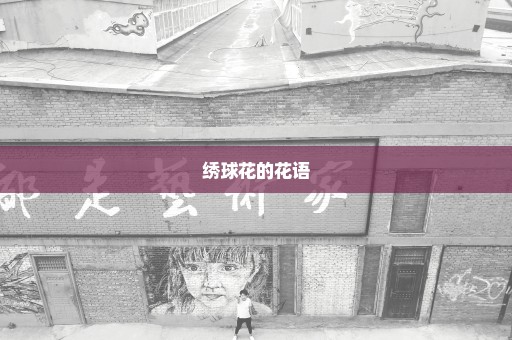 绣球花的花语