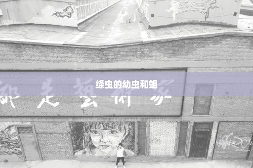 绦虫的幼虫和蛆