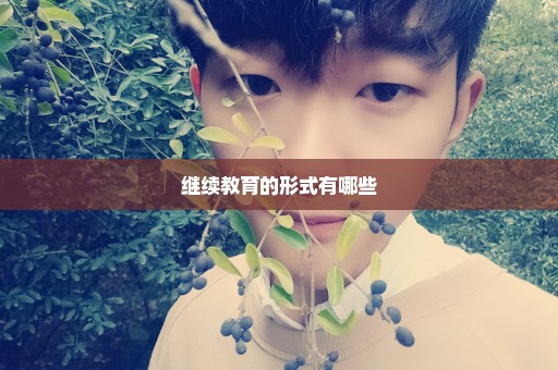 继续教育的形式有哪些