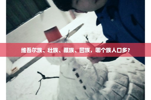维吾尔族、壮族、藏族、回族，哪个族人口多？