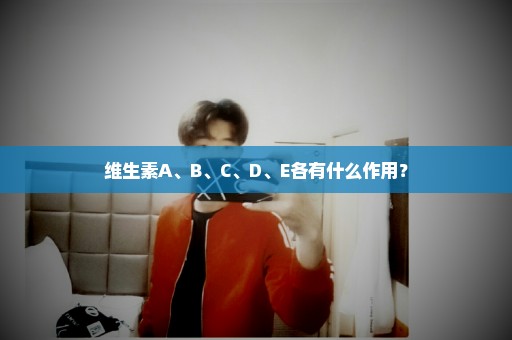 维生素A、B、C、D、E各有什么作用？