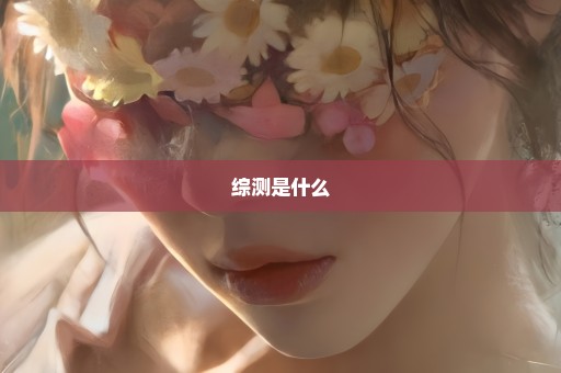 综测是什么