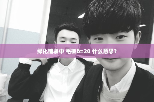 绿化铺装中 毛板δ=20 什么意思？