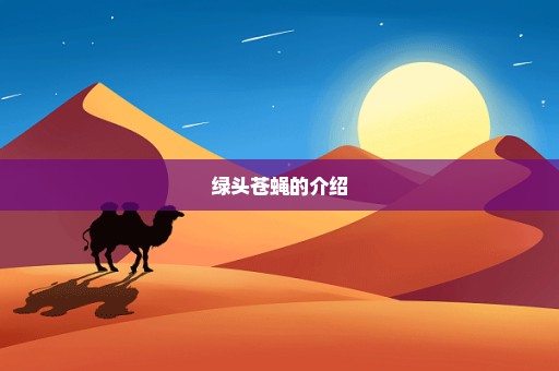 绿头苍蝇的介绍