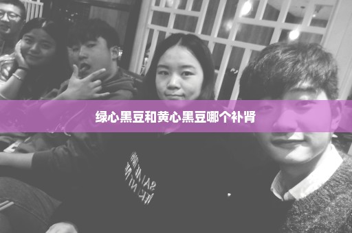 绿心黑豆和黄心黑豆哪个补肾