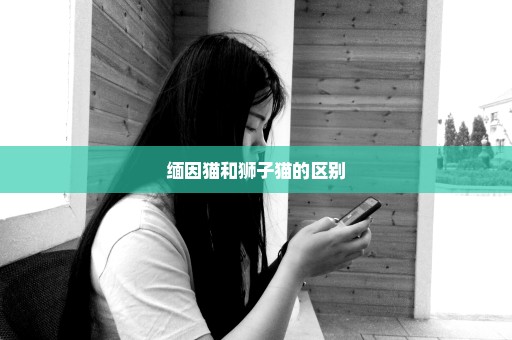 缅因猫和狮子猫的区别