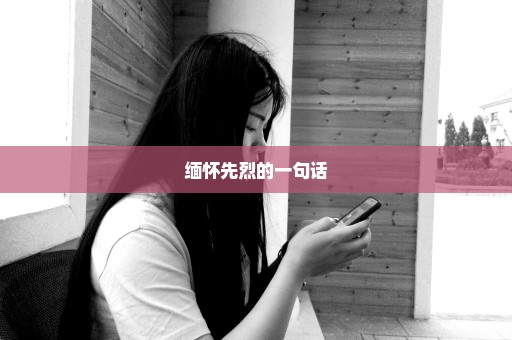 缅怀先烈的一句话