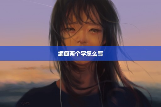 缅甸两个字怎么写
