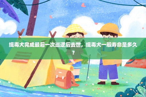 缉毒犬完成最后一次巡逻后去世，缉毒犬一般寿命是多久？