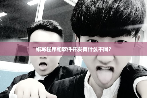 编写程序和软件开发有什么不同？