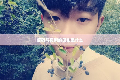 编码与调制的区别是什么