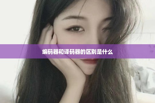 编码器和译码器的区别是什么
