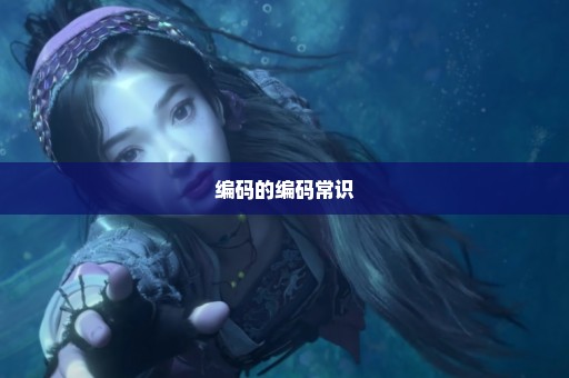 编码的编码常识