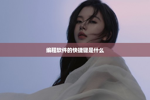 编程软件的快捷键是什么