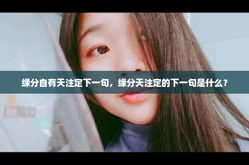 缘分自有天注定下一句，缘分天注定的下一句是什么？