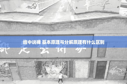 缠中说禅 基本原理与分解原理有什么区别