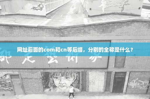 网址后面的com和cn等后缀，分别的全称是什么？