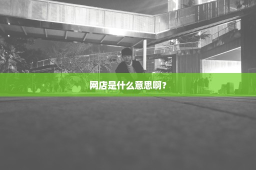 网店是什么意思啊？