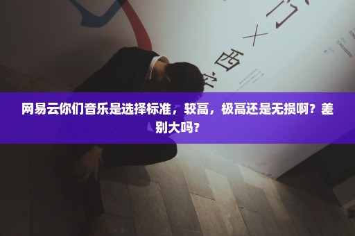 网易云你们音乐是选择标准，较高，极高还是无损啊？差别大吗？