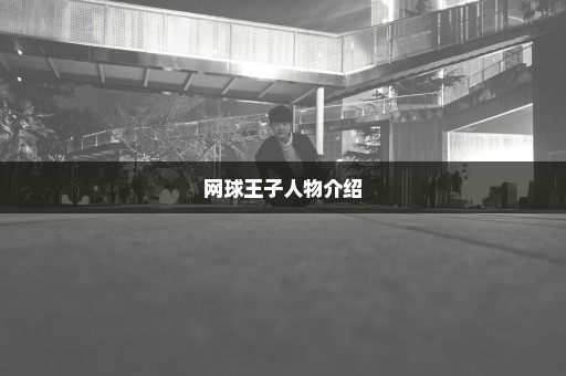 网球王子人物介绍