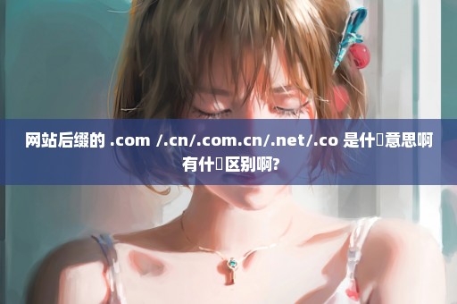 网站后缀的 .com /.cn/.com.cn/.net/.co 是什麼意思啊 有什麼区别啊?