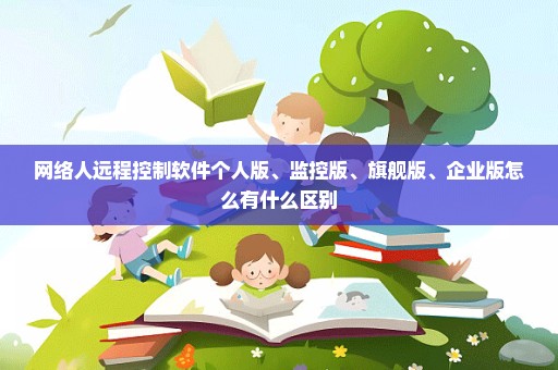 网络人远程控制软件个人版、监控版、旗舰版、企业版怎么有什么区别