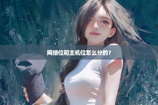 网络位和主机位怎么分的？
