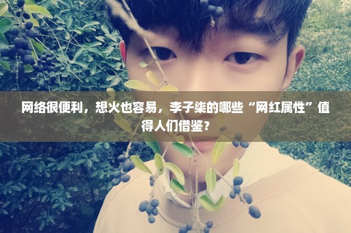 网络很便利，想火也容易，李子柒的哪些“网红属性”值得人们借鉴？