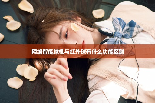 网络智能球机与红外球有什么功能区别