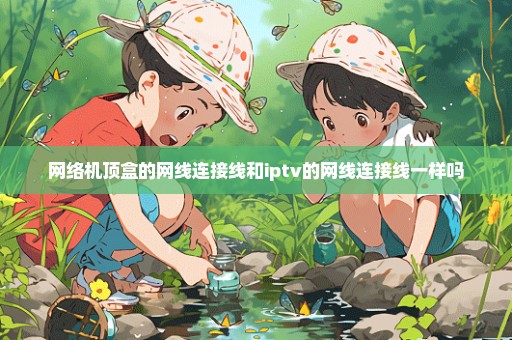 网络机顶盒的网线连接线和iptv的网线连接线一样吗