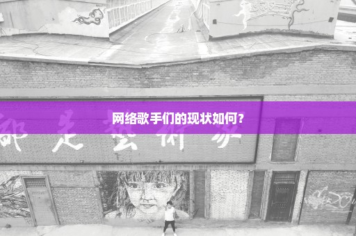 网络歌手们的现状如何？