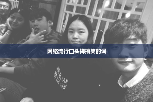 网络流行口头禅搞笑的词