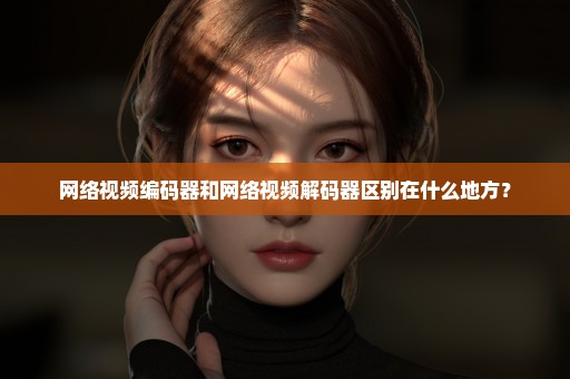 网络视频编码器和网络视频解码器区别在什么地方？