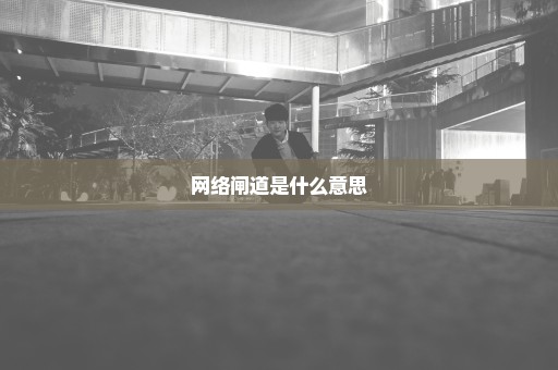 网络闸道是什么意思