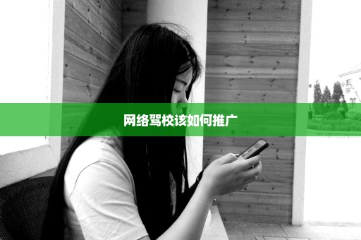 网络驾校该如何推广