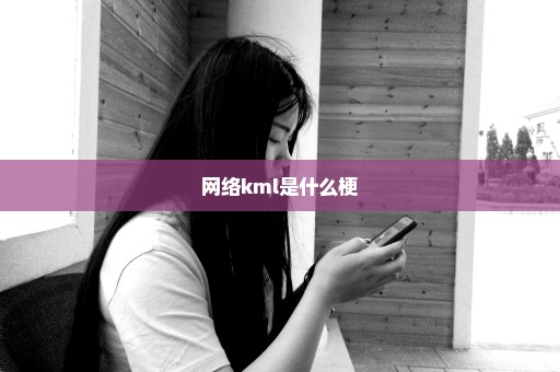 网络kml是什么梗