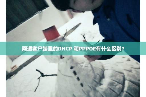 网通客户端里的DHCP+和PPPOE有什么区别？