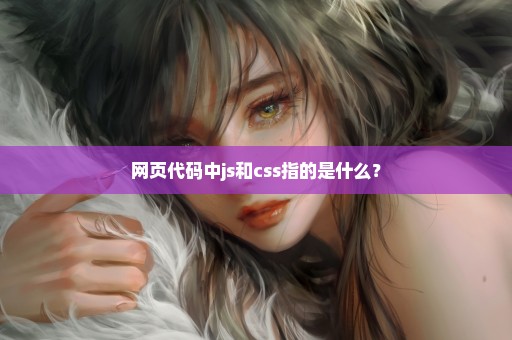 网页代码中js和css指的是什么？