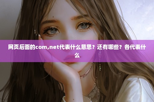 网页后面的com,net代表什么意思？还有哪些？各代表什么