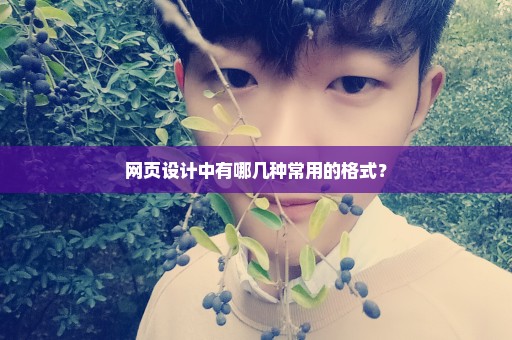 网页设计中有哪几种常用的格式？