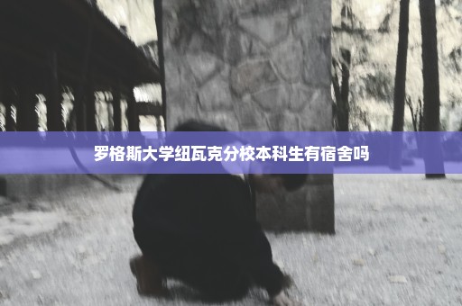罗格斯大学纽瓦克分校本科生有宿舍吗